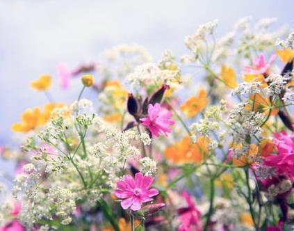 怎样找自己的桃花位